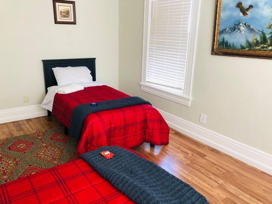 Mishas Comfort Haven Мерісвілл Екстер'єр фото